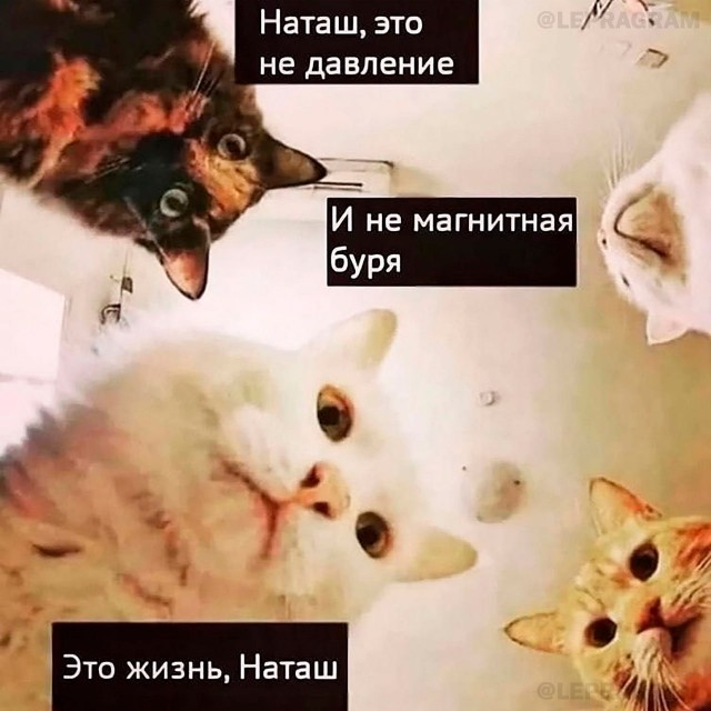 Магнитные бури — ВСЁ