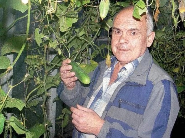 "О, Волька..." Алексей Литвинов