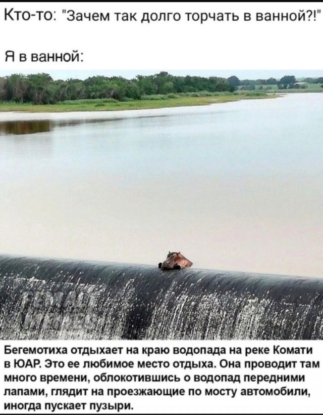 Так себе картинки 04.06.25