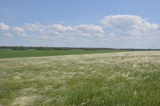 Донская степь