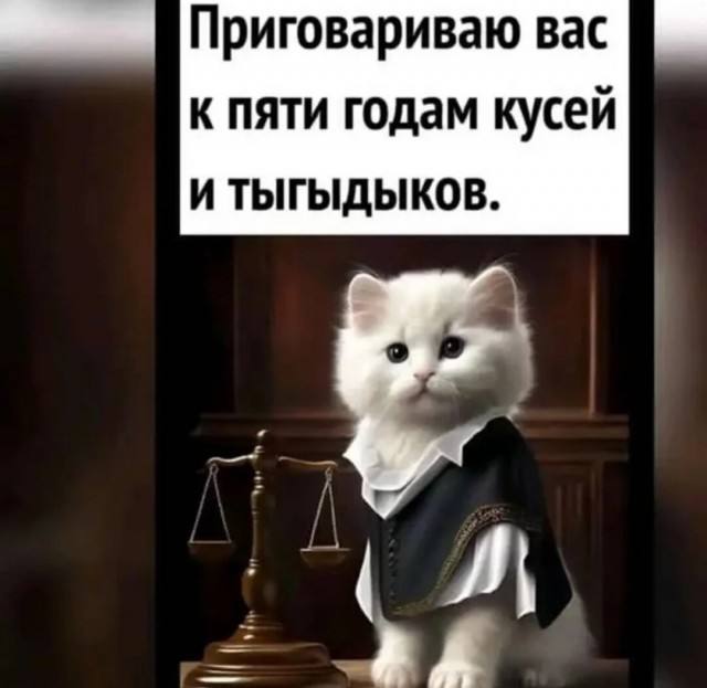 Бандитский котербург
