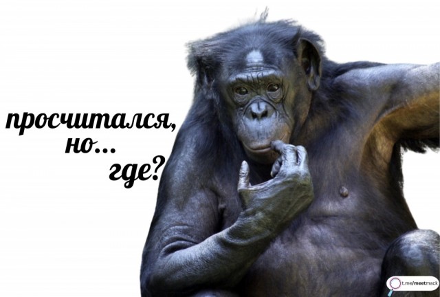 Еду еду еду еду я!