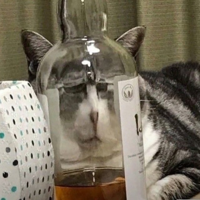 Собутыльник мой.