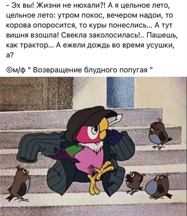 Деревня