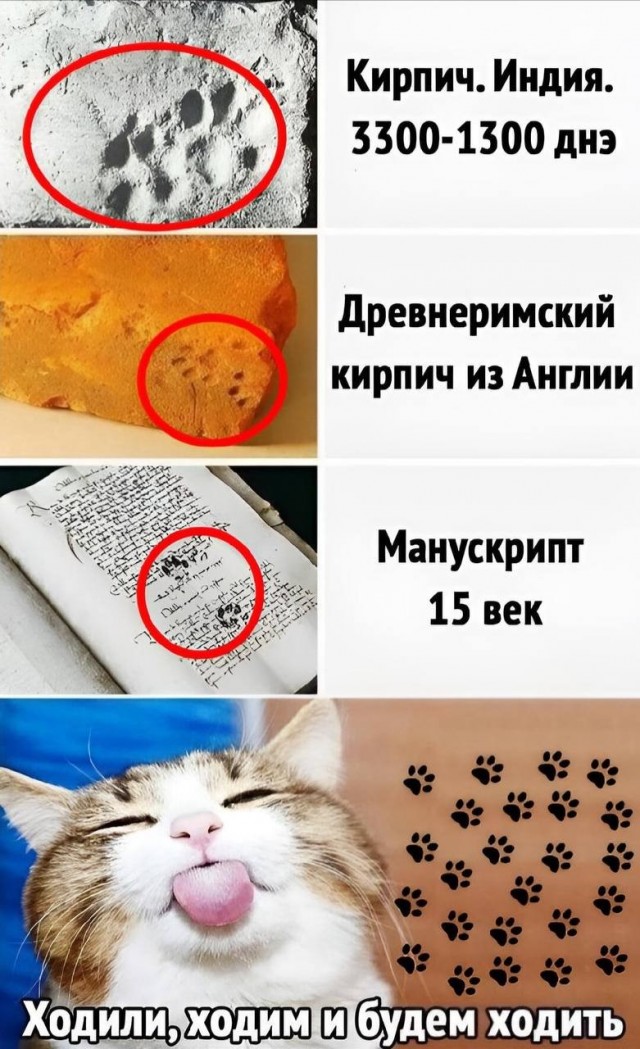 Субботние картинки