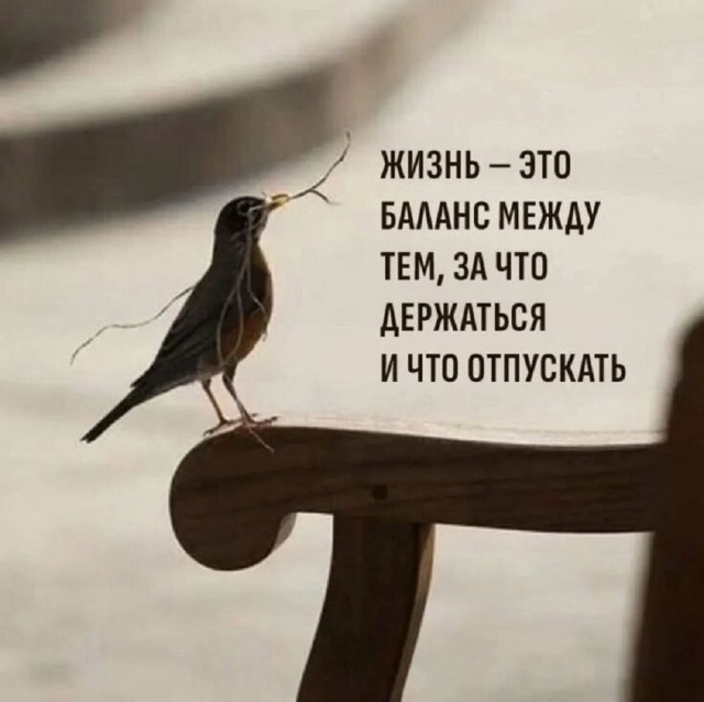 Так себе картинки 14.10.25