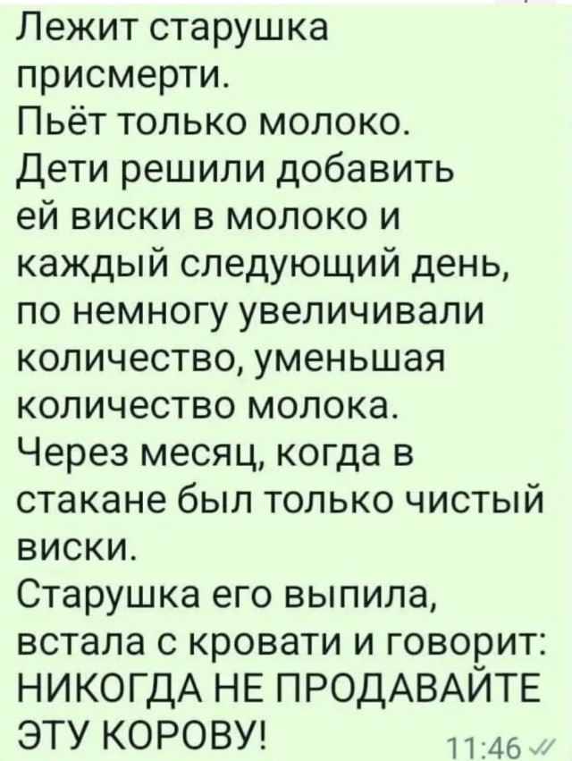 Так себе картинки 22.10.25