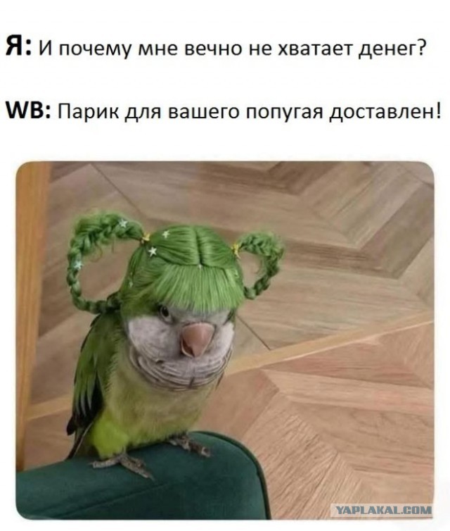 Забавные и не очень скромные картинки - 18