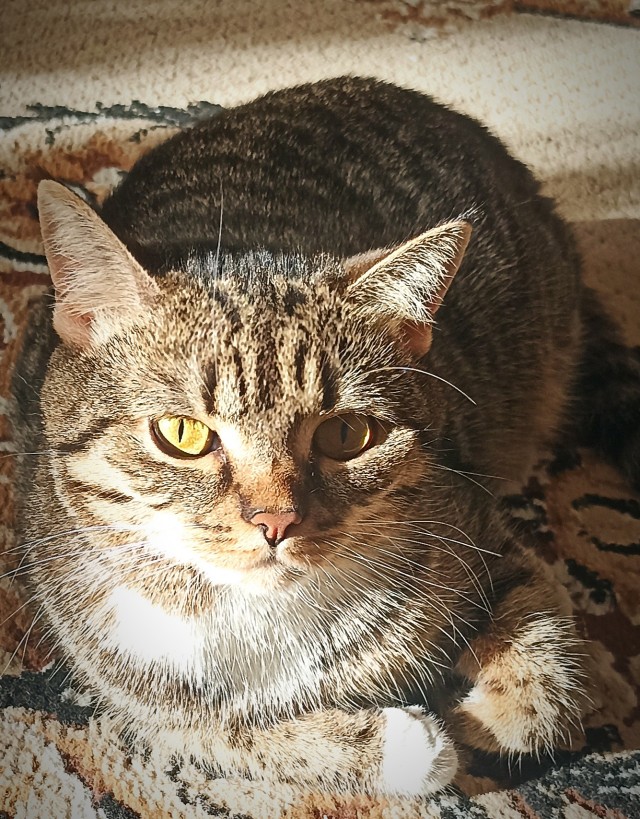 Я тебя еще не отпускала