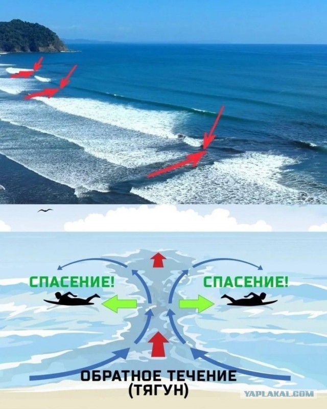 Кадр хороший получился