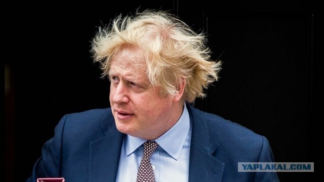 Предложите кандидатуру известной личности