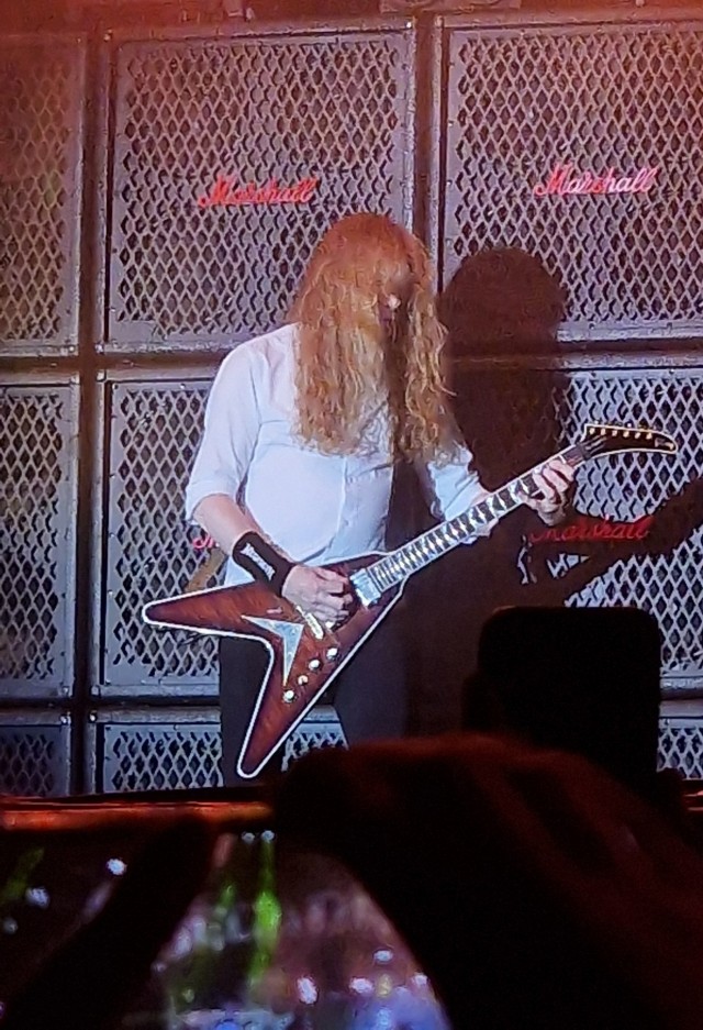Пушной про Metallica