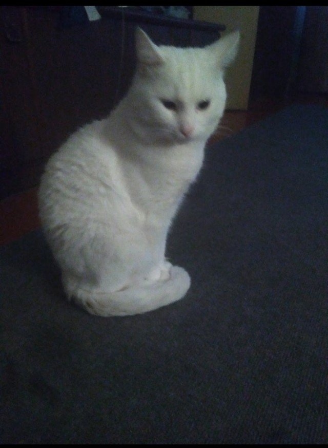 Чёрт