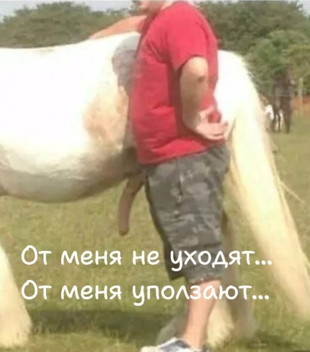 Картинки для деградации 256 (разной степени свежести)