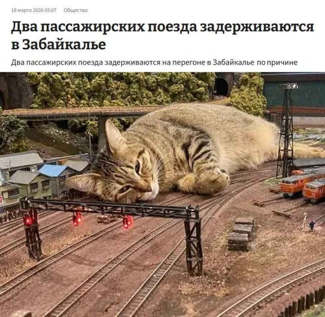 Киберзапугивание на венгерском языке и другие картинки