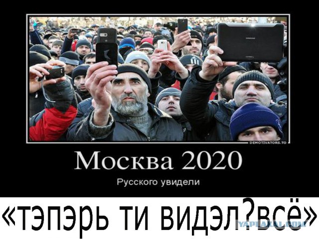 Теперь ты видел всё