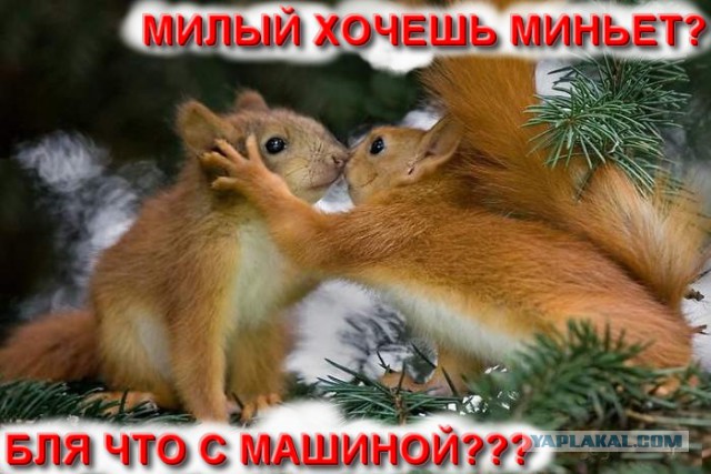 Девушки не перестают удивлять