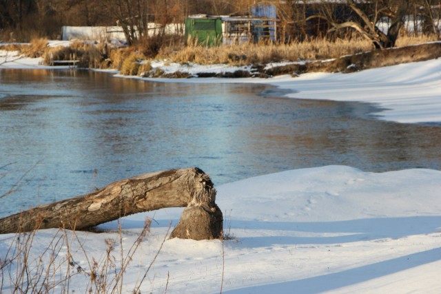 Цвет Зимы