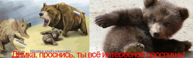 Дима опять за своё