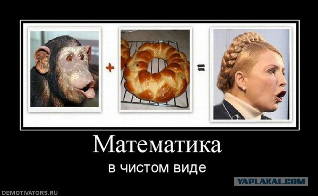 Наша Няша