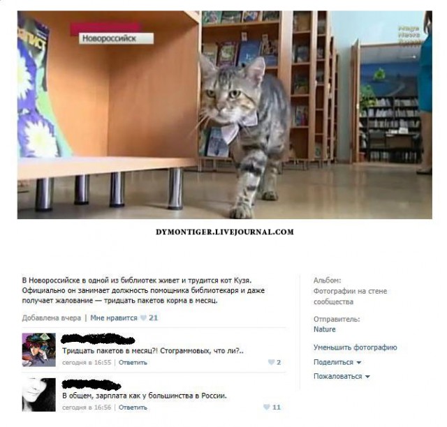 Подборка комментариев из соц.сетей!