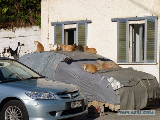 Выхожу с работы, а там...