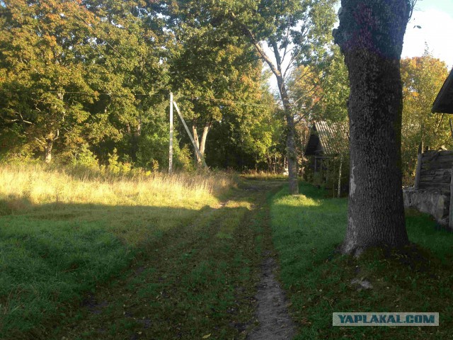 Как менялся старый пол.