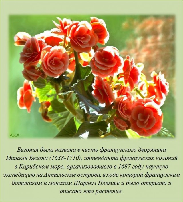 20 фактов обо всем