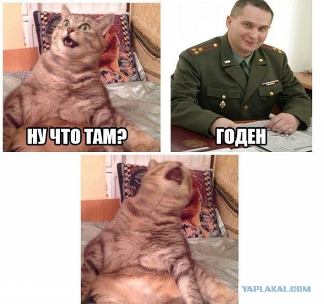 Забавные картинки из Сети