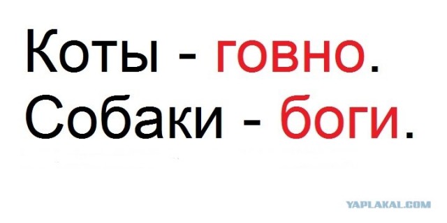Любителям поднять срач