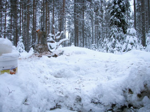 Осенние развлечения 8 (новогодние страдания)