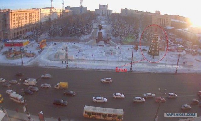 Елочная фаллометрия