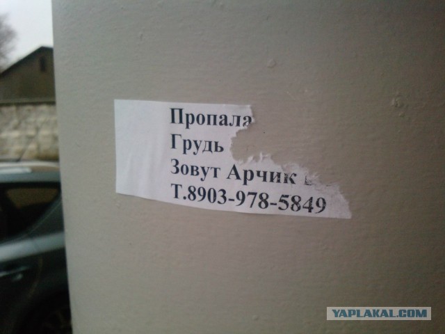 Прикольные объявления и надписи