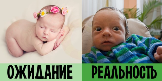 Я купил зеркалку. Ожидания VS реальность