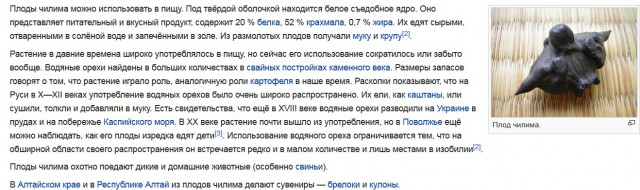 Это водное растение родом из Азии.