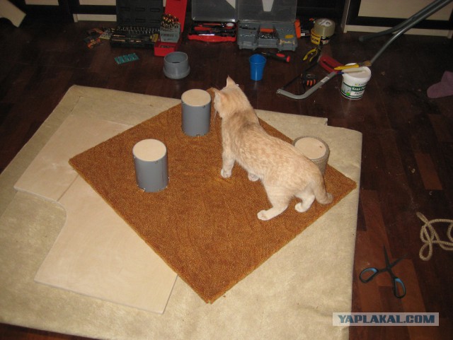 Кошкин дом - он такой