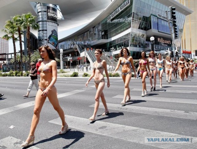Хит - парад женских купальников