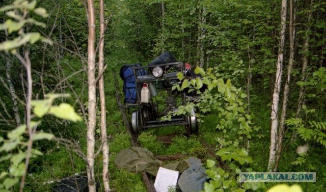 Подборка интересных фактов про поезда и железные дороги