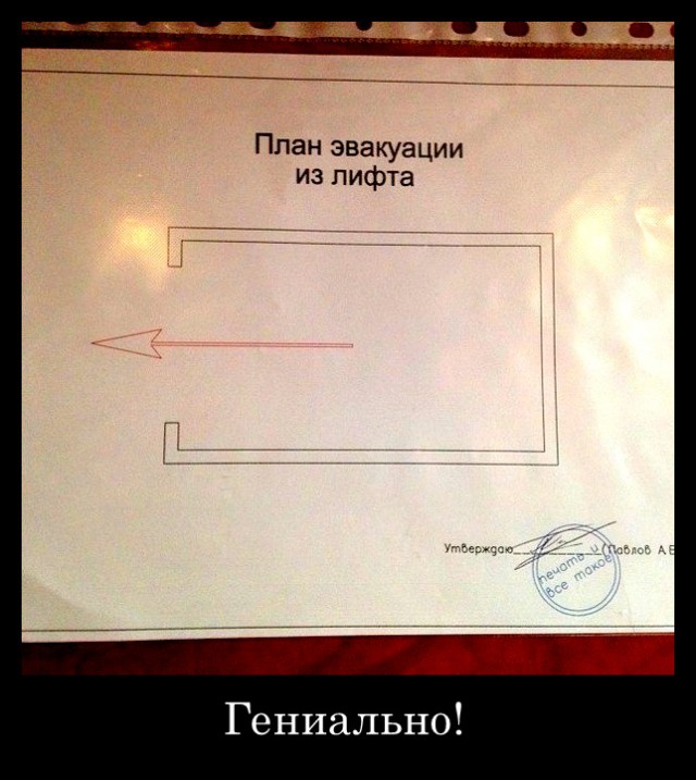 Подборка интересных и веселых картинок