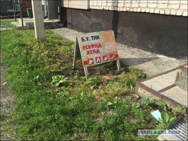 Порция картинок из сети
