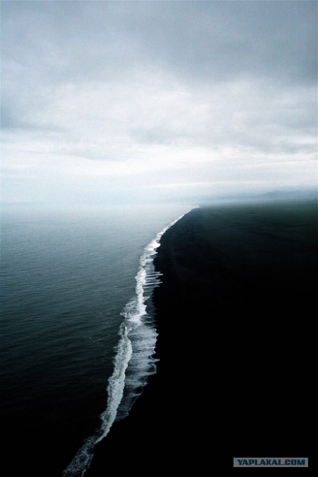 Картинки и приколы из сети