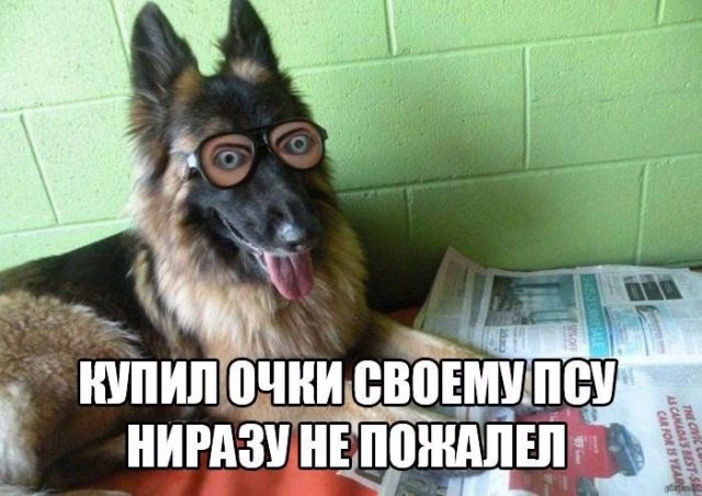 Разные картинки из сети