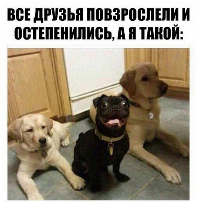 Очередная подборка ненормального школьного юмора