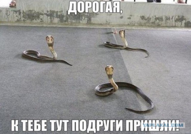 Немного позитива