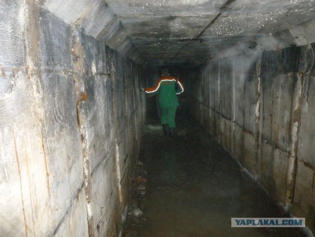 Осколки страны