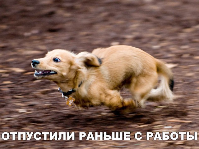 130 картинок для поднятия настроения!