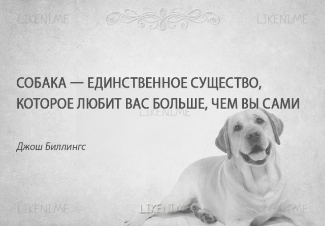 Пёс