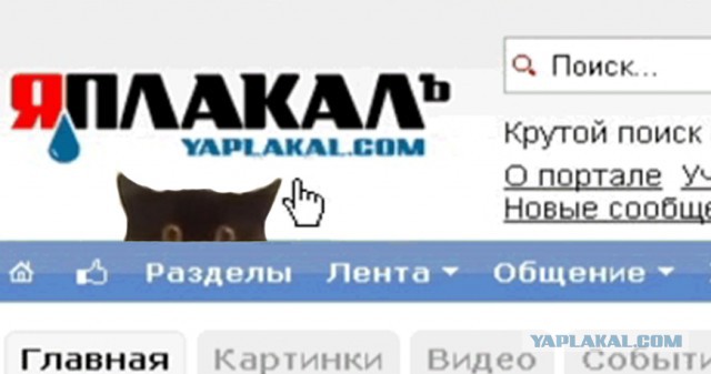 Кот украл свежую рыбу с кухонного стола и спрятался в ванной