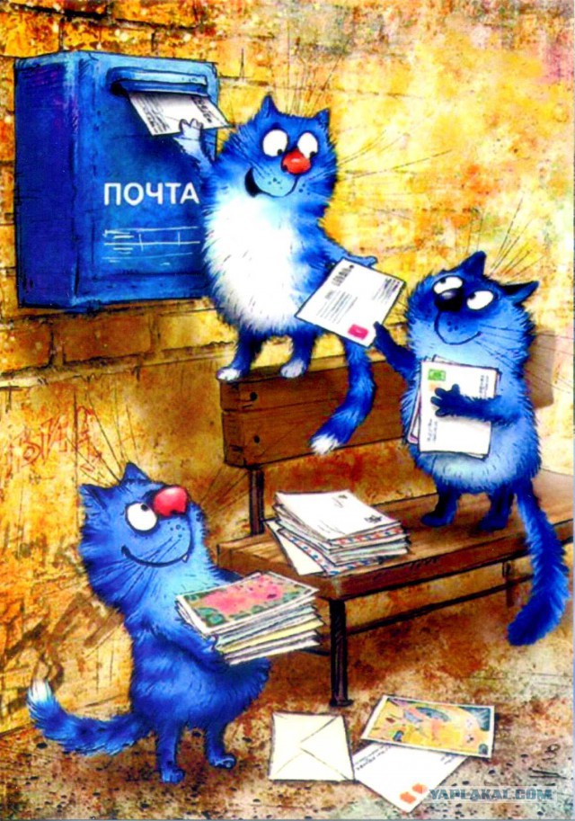 Открытки приколы с котом