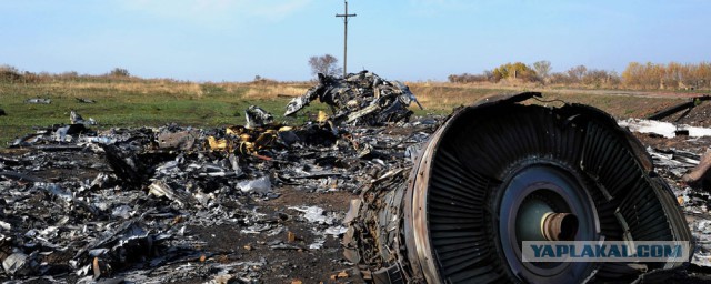 Голландский политик подверг сомнению выводы следствия по делу MH17